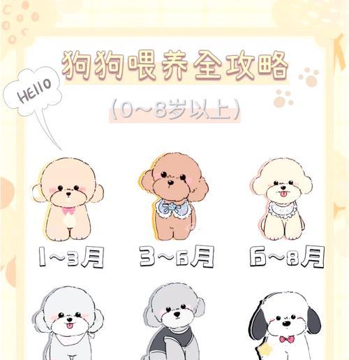 不同体型狗狗生长周期差异详解，科学喂养指南