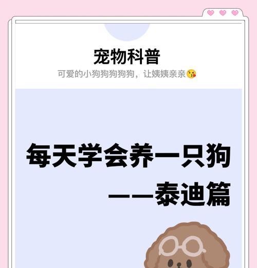 泰迪狗狗必备药品清单，养宠家庭健康管理指南