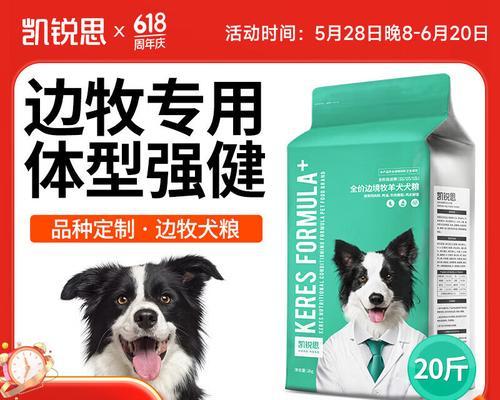 边境牧羊犬体重管理全攻略：影响因素与科学饲养方法