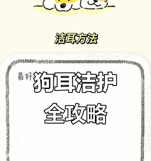 狗狗耳朵清洗频率指南：多久洗一次最健康