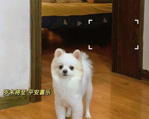 男性头发护理频率指南，专业剪发间隔时间建议