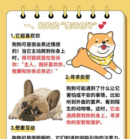 狗狗熟悉主人需要多久？14天建立情感纽带完整指南