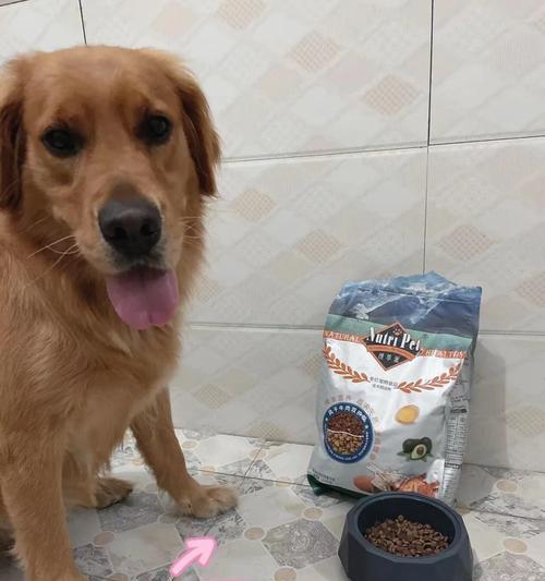 狗粮未开封能存放多久及正确储存方法详解