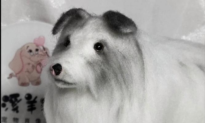 小狗长毛时间表：从出生到成年毛发发育全过程详解