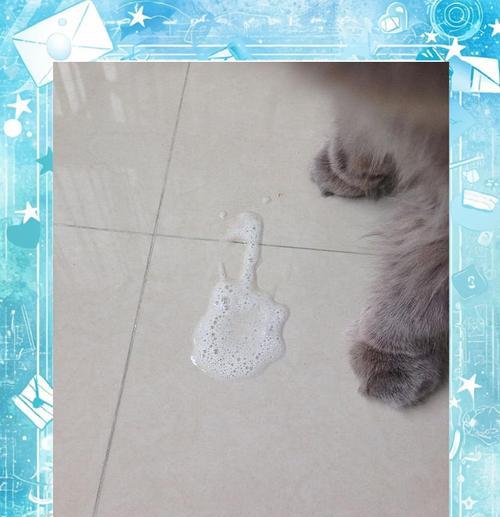 猫咪吐出没消化猫粮的原因及改善方法