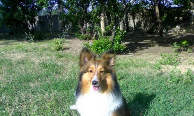 喜乐蒂生活方式指南：平衡身心健康的14个核心要素