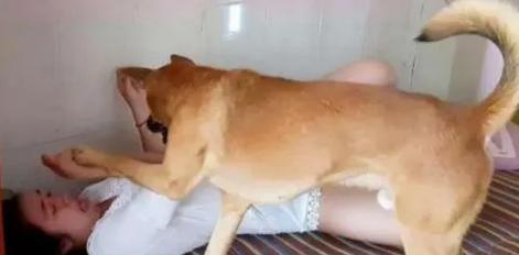 狗子宫癌症状全解析：15大征象助主早发现早治疗