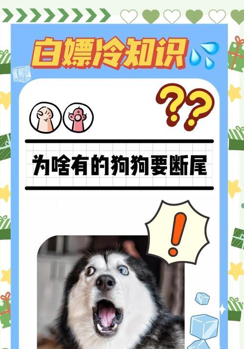 狗狗断尾方法全解析：8种断尾方式优缺点对比指南