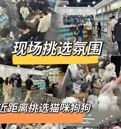 狗狗打疫苗后多久能洗澡？科学接种与护理全指南