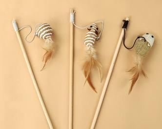 小猫宝宝玩具大全：15种益智健身玩具推荐指南