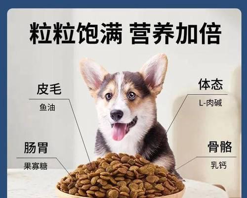狗狗的饮食需求（探讨狗狗饮食习惯和更换狗粮的最佳时机）