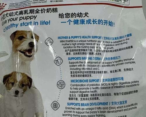 泰迪幼犬断奶期喂养指南：科学断奶要点全解析