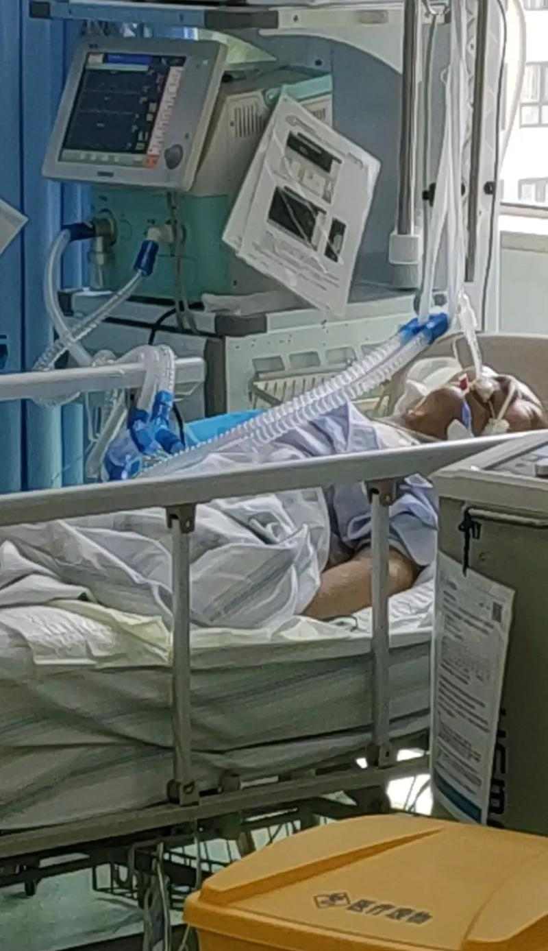 宠物生病治疗费用高昂如何抉择 治疗决策指南