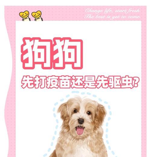 宠物驱虫后多久能打疫苗，科学安排保护宠物健康
