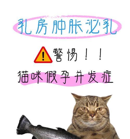 孕妇养猫真的有害吗？权威专家辟谣揭示真相益处