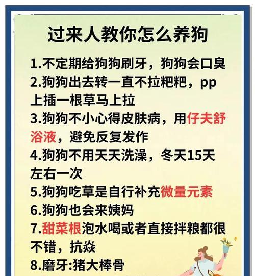 新手养狗必知6大饲养禁忌，科学养护守护狗狗健康