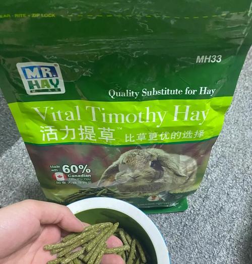 龙猫饲养全攻略：从环境搭建到健康管理的完整指南