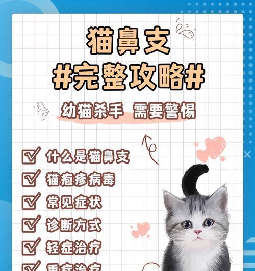 猫咪用药后多久见效及观察要点全攻略