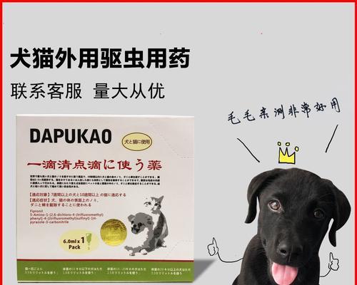 猫体外驱虫药选择指南：类型用法与注意事项详解
