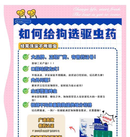 狗狗驱虫打针频率指南：保护爱宠健康远离寄生虫