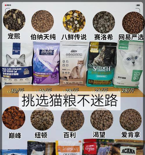四个月猫咪饮食搭配全攻略，科学营养喂养指南