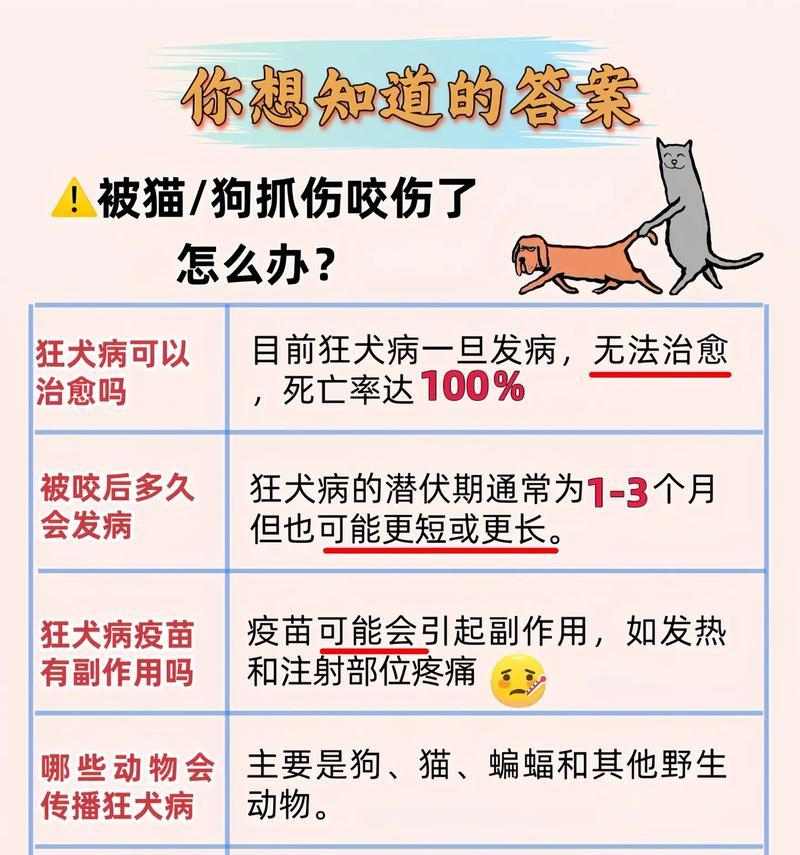 宠物感染狂犬病能活多久？预防措施及救治方法全解析