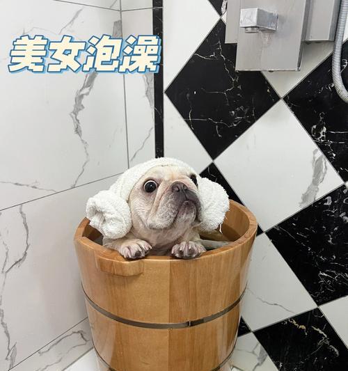 宠物药浴180全面护理指南：深层清洁滋润舒缓宠物肌肤