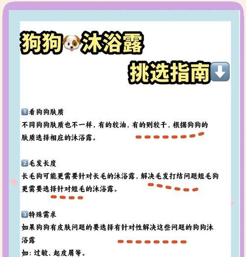 博美幼犬到家多久能洗澡？新环境适应期护理指南