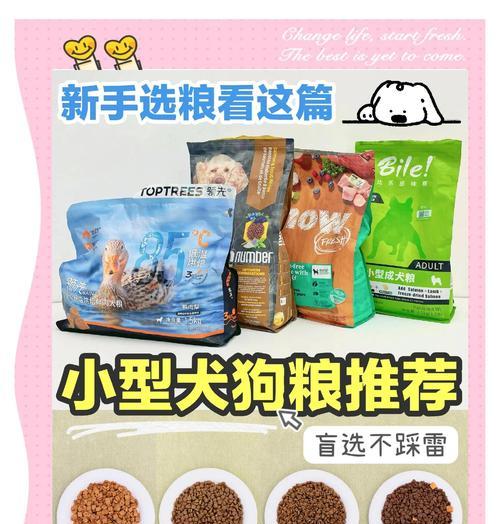 小狗多久开始吃狗粮最合适，幼犬喂养时间和方法指南