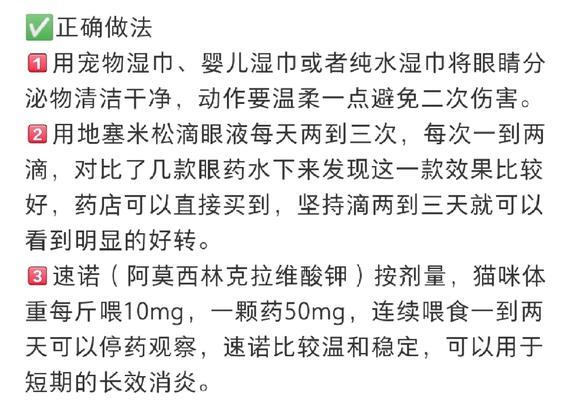 小猫眼睛发炎多久能好 治疗方法及预防措施详解