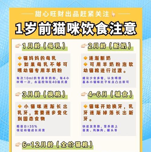 2个月幼猫饮食指南：奶粉选择与喂养方法全解析