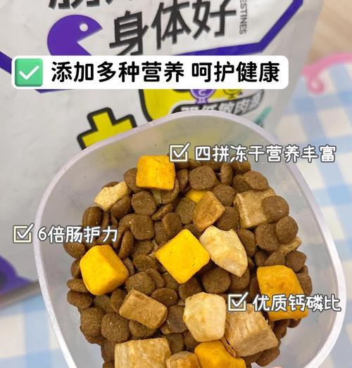 泰迪犬全方位指南：品种特性养护训练全解析