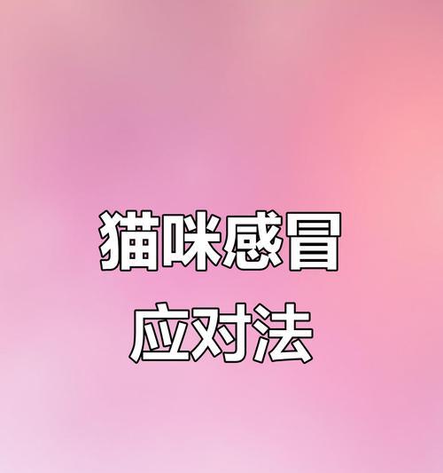 猫感冒多久能好 影响康复时间的关键因素全解析