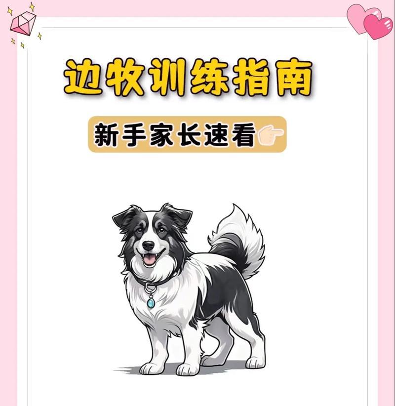 正确抱狗狗的技巧与训练指南，让宠物更安全舒适