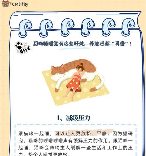 训练猫咪不上床的有效方法和实用技巧