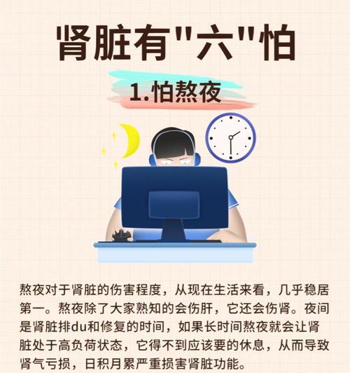 守护狗狗肾脏健康：预防与护理的全面指南
