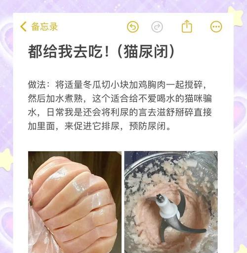 猫咪吃鸡胸脯多久喂一次？不同年龄段喂养频率指南