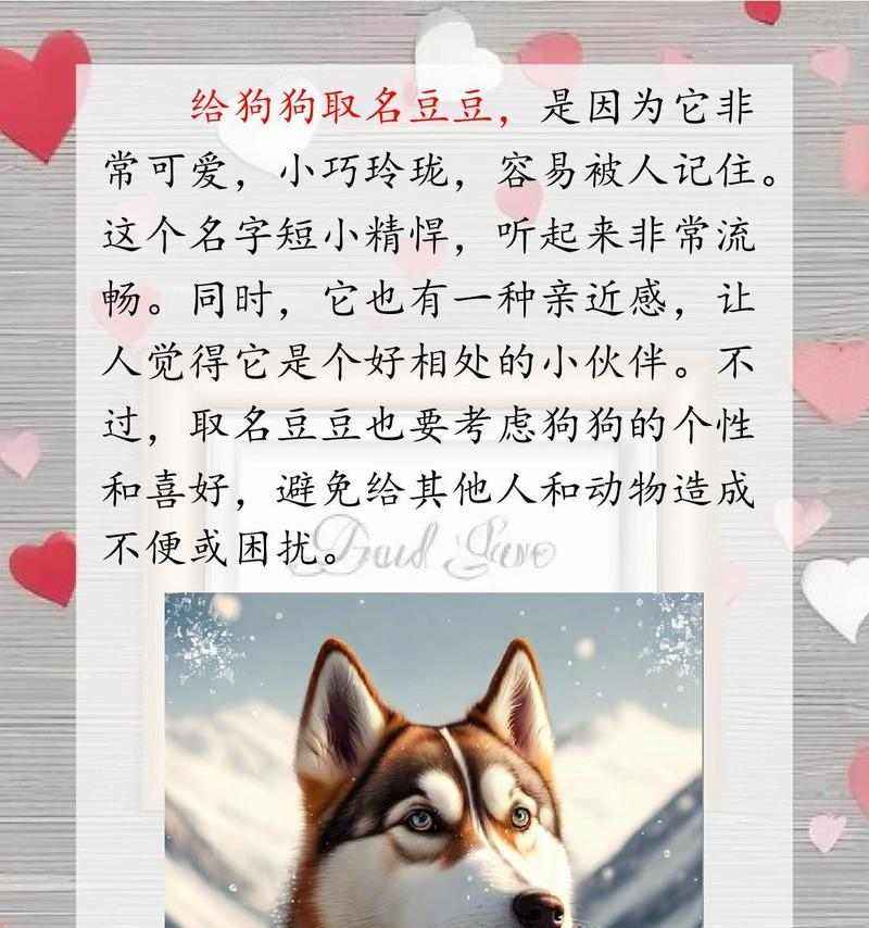 狗能记住主人名字多久？揭秘狗狗记忆力的真相