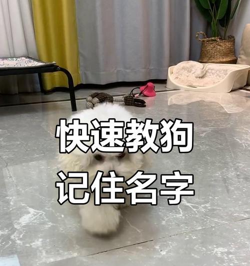 文章详情图片