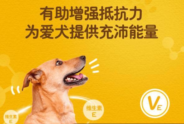 狗狗抵抗力差怎么办？这些药物教你增强免疫系统