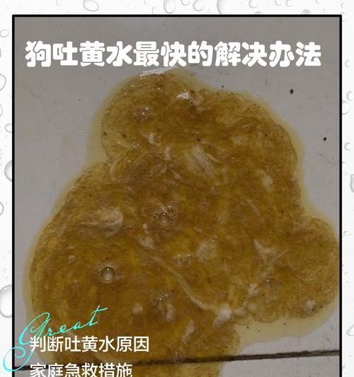 文章详情图片