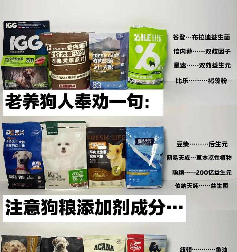 狗粮怎么选？从成分到品牌，一篇看懂选购关键