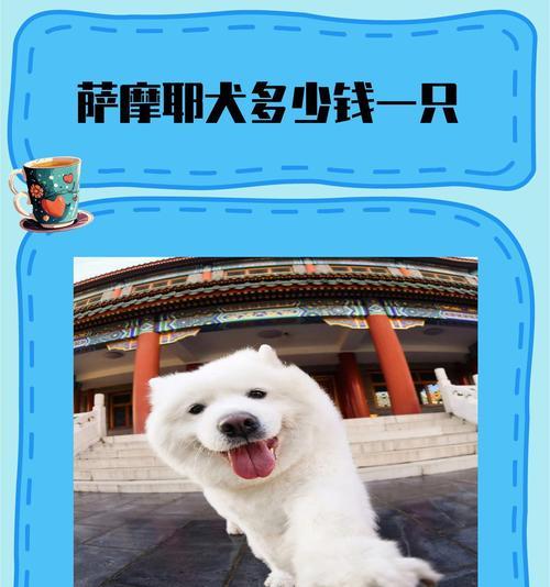 萨摩犬寿命与生命周期全解析：从成长到衰老的照顾指南