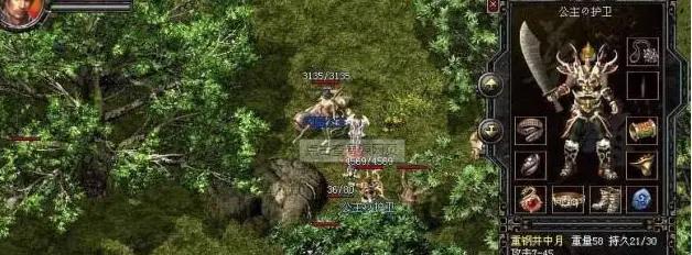 带猫咪长途旅行必看：禁食时间与安全注意事项