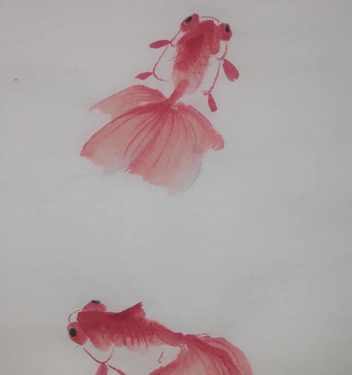 金鱼品种大全：15种最美观赏鱼的特征与魅力解析