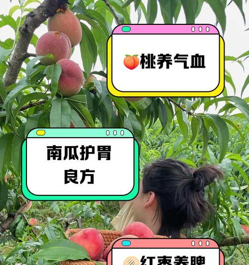 马犬毛发柔顺秘籍：这几种食物让毛发更光滑亮丽