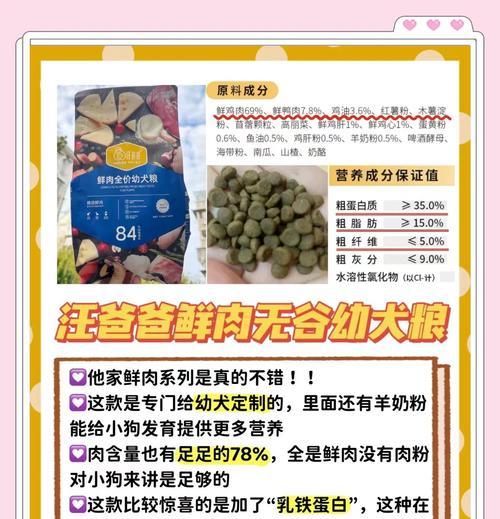比熊幼犬饮食指南：各阶段喂养方法与营养建议
