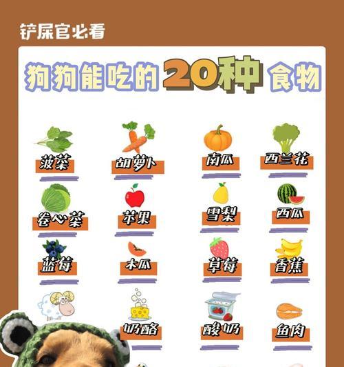 狗狗什么时候可以吃胡萝卜？喂食时间与注意事项