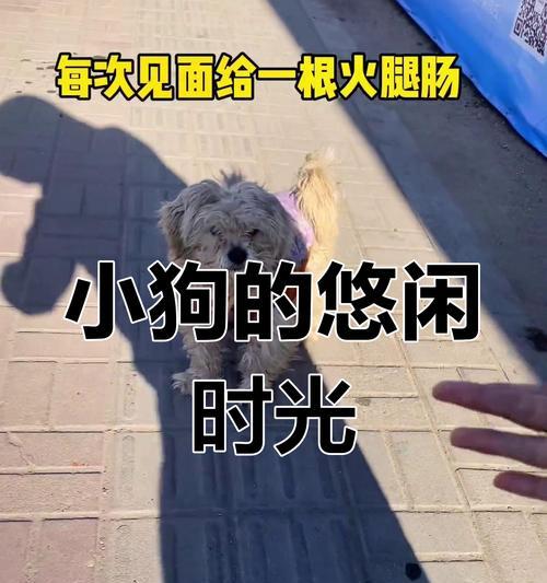 文章详情图片