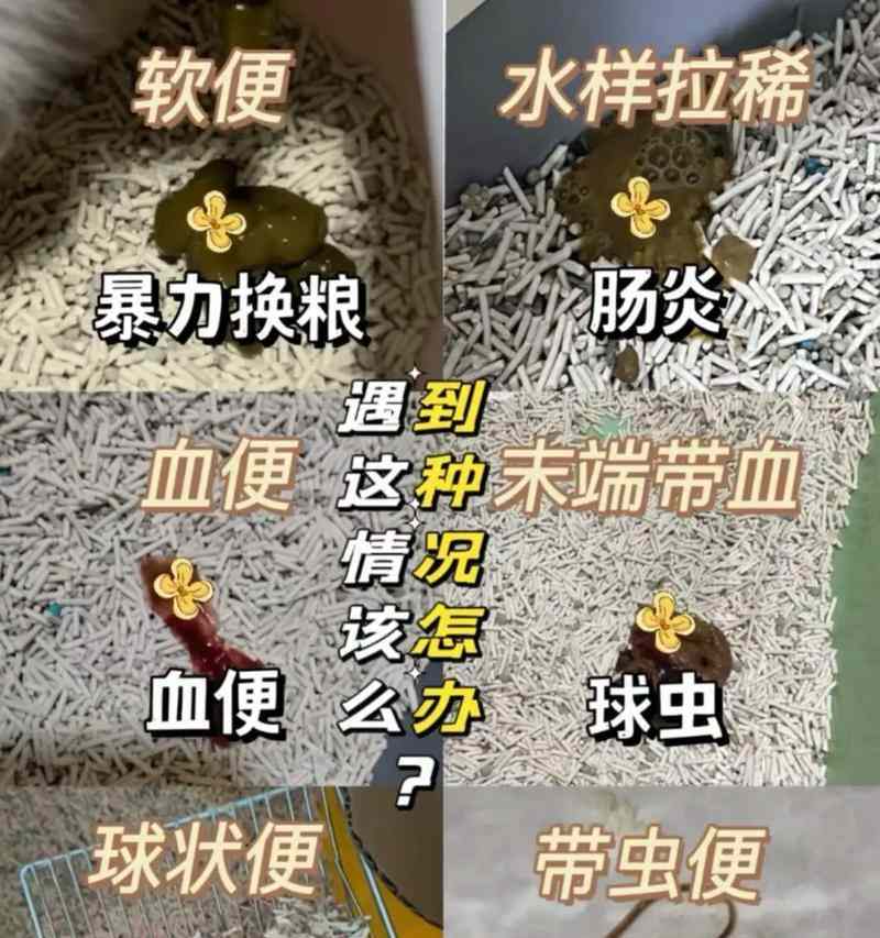 文章详情图片